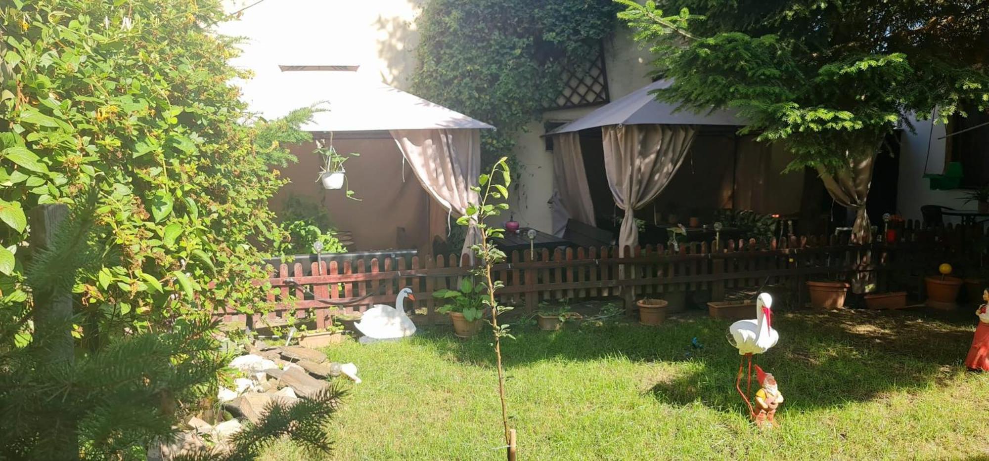 Pensiunea Red Rose Apartments Timişoara Buitenkant foto