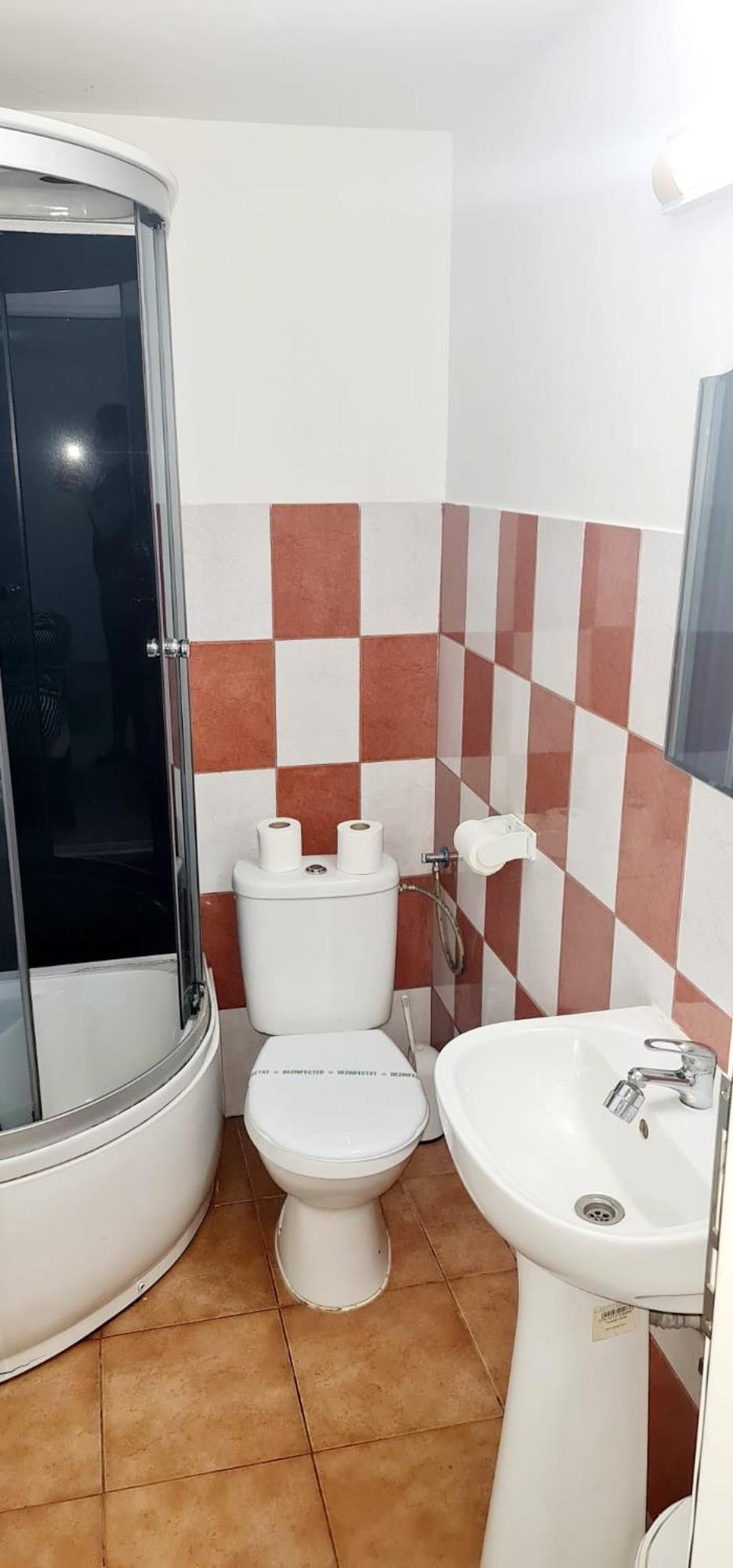 Pensiunea Red Rose Apartments Timişoara Buitenkant foto