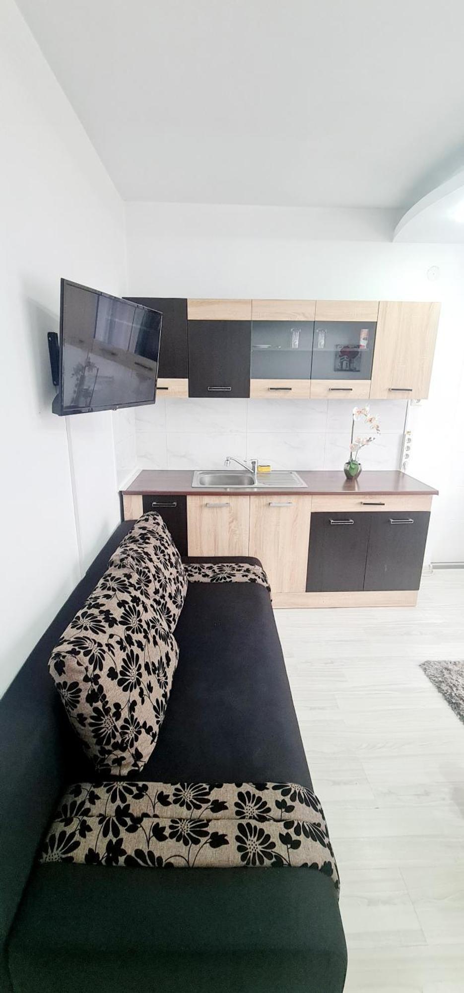 Pensiunea Red Rose Apartments Timişoara Buitenkant foto