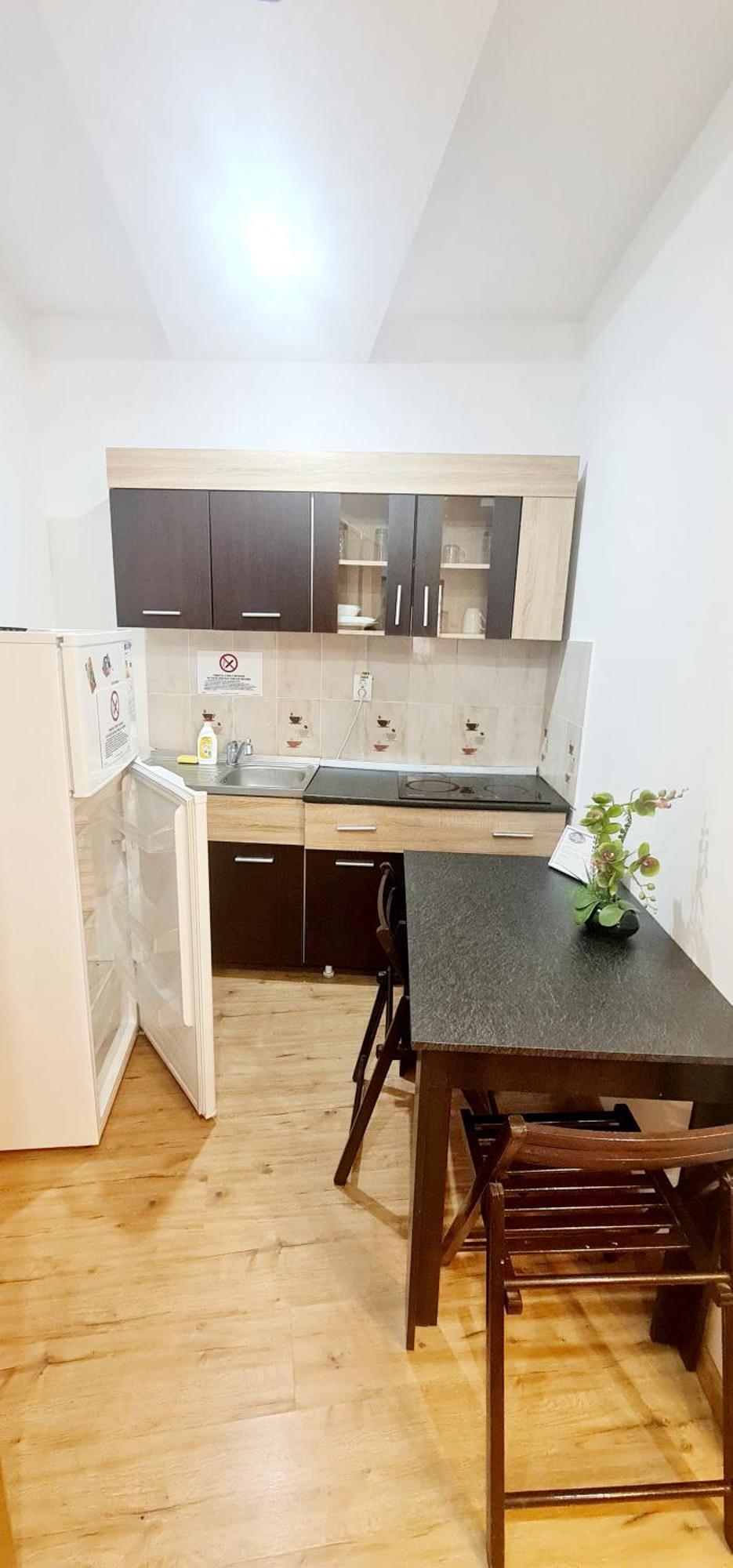 Pensiunea Red Rose Apartments Timişoara Buitenkant foto