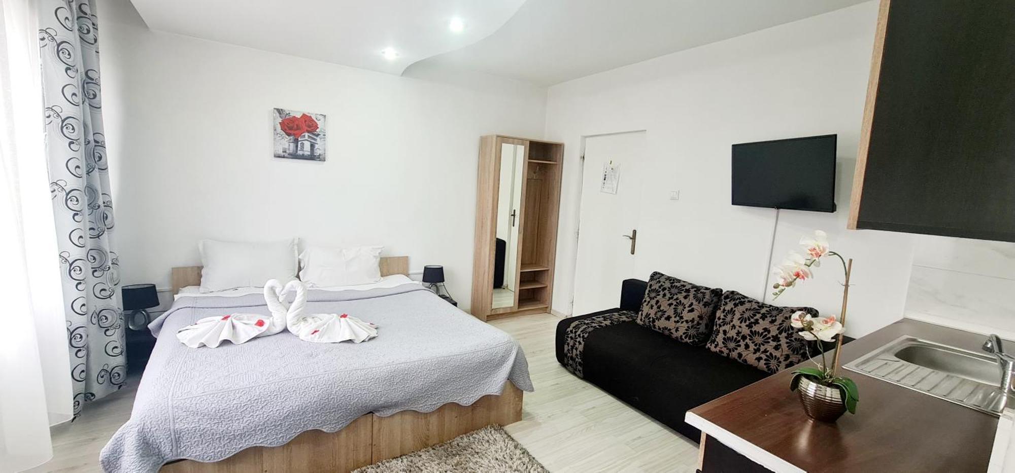 Pensiunea Red Rose Apartments Timişoara Buitenkant foto