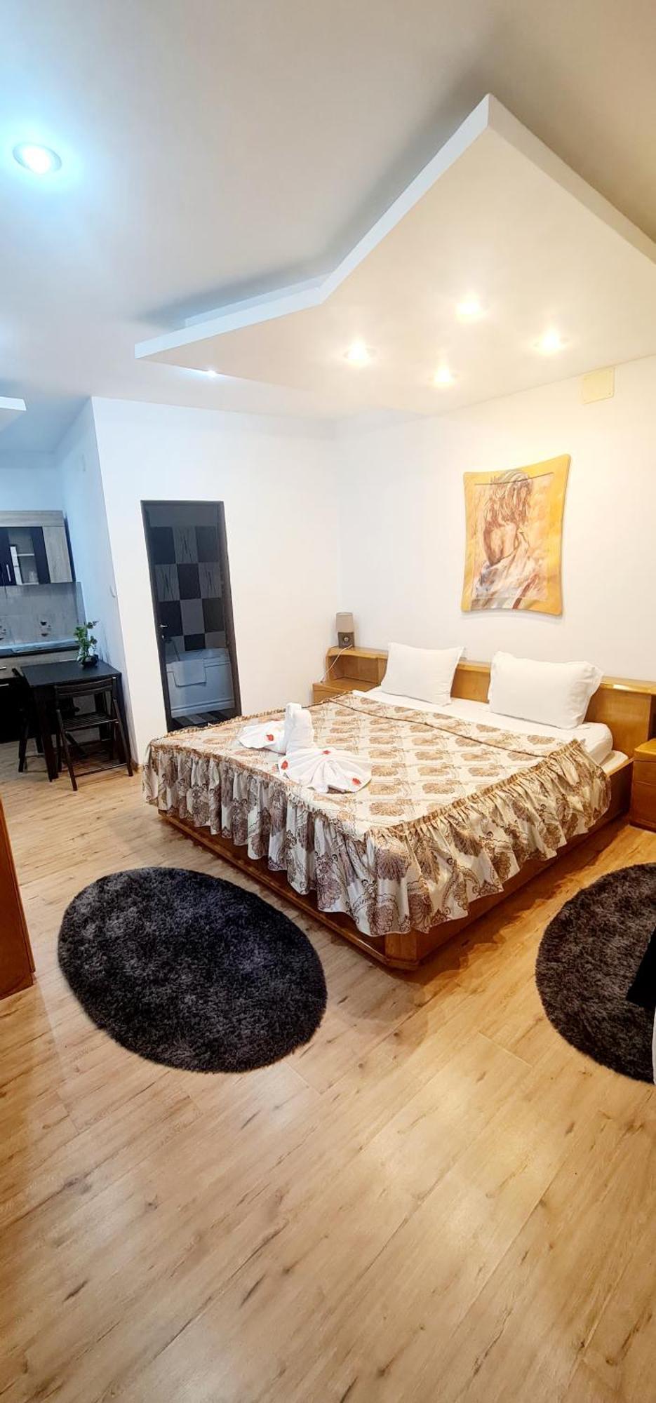 Pensiunea Red Rose Apartments Timişoara Buitenkant foto