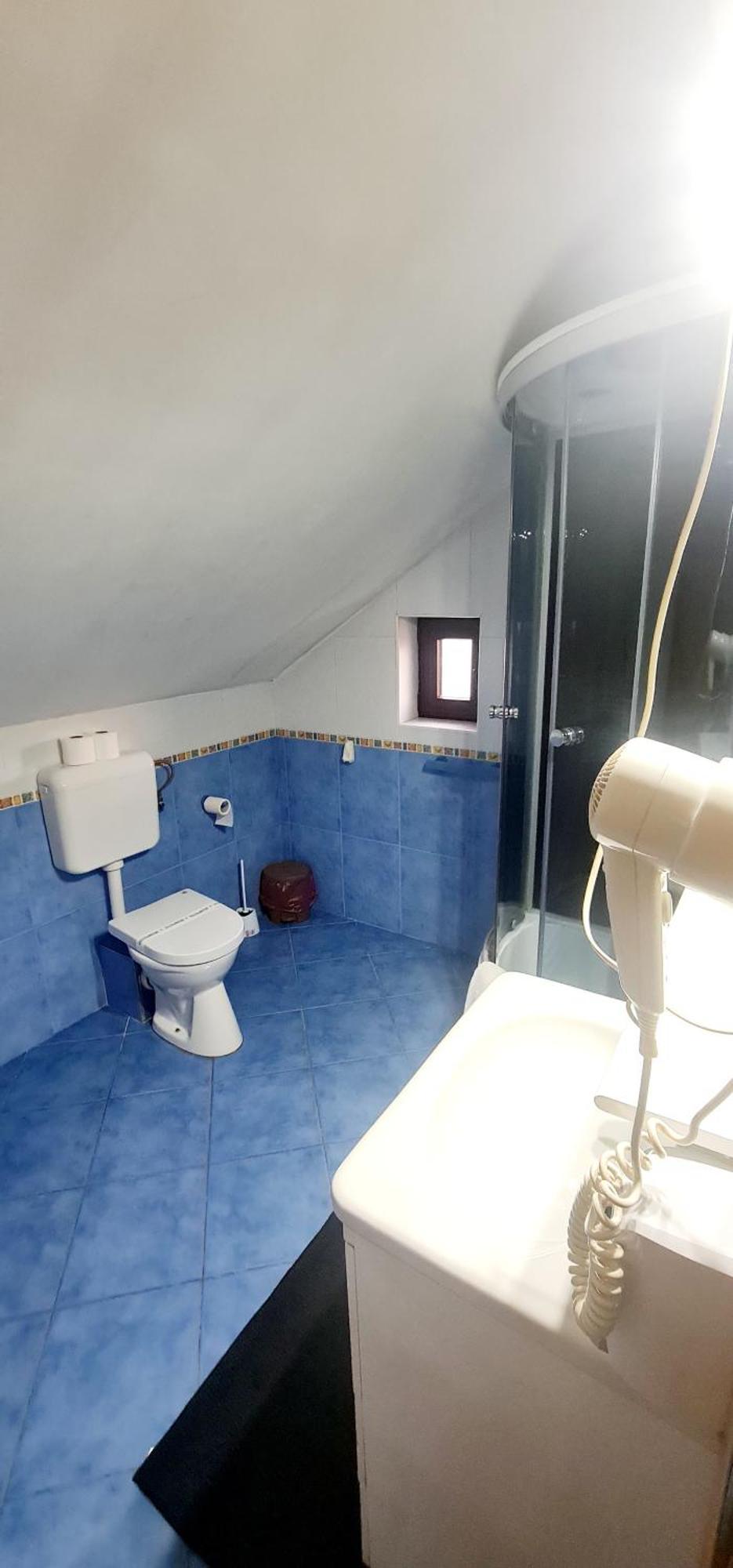 Pensiunea Red Rose Apartments Timişoara Buitenkant foto